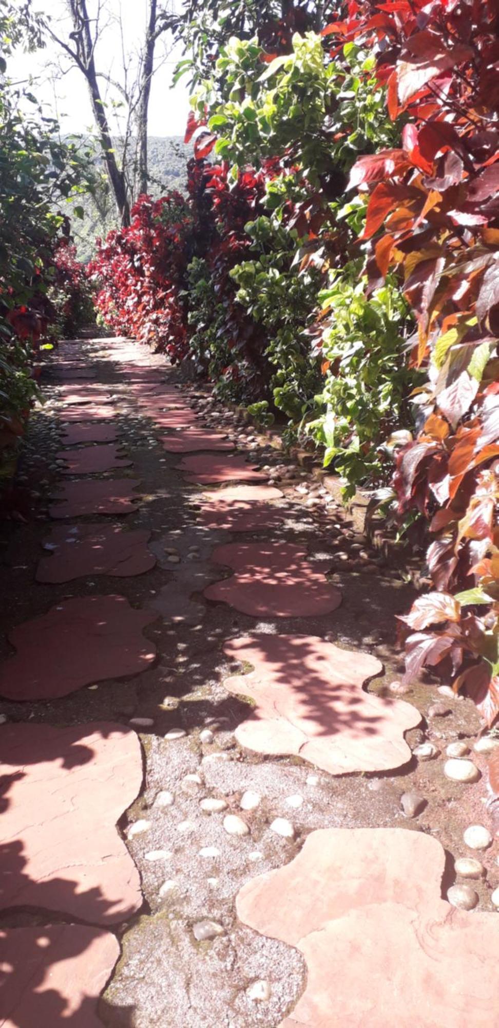 Strawberry Country Villa Mahābaleshwar Rum bild